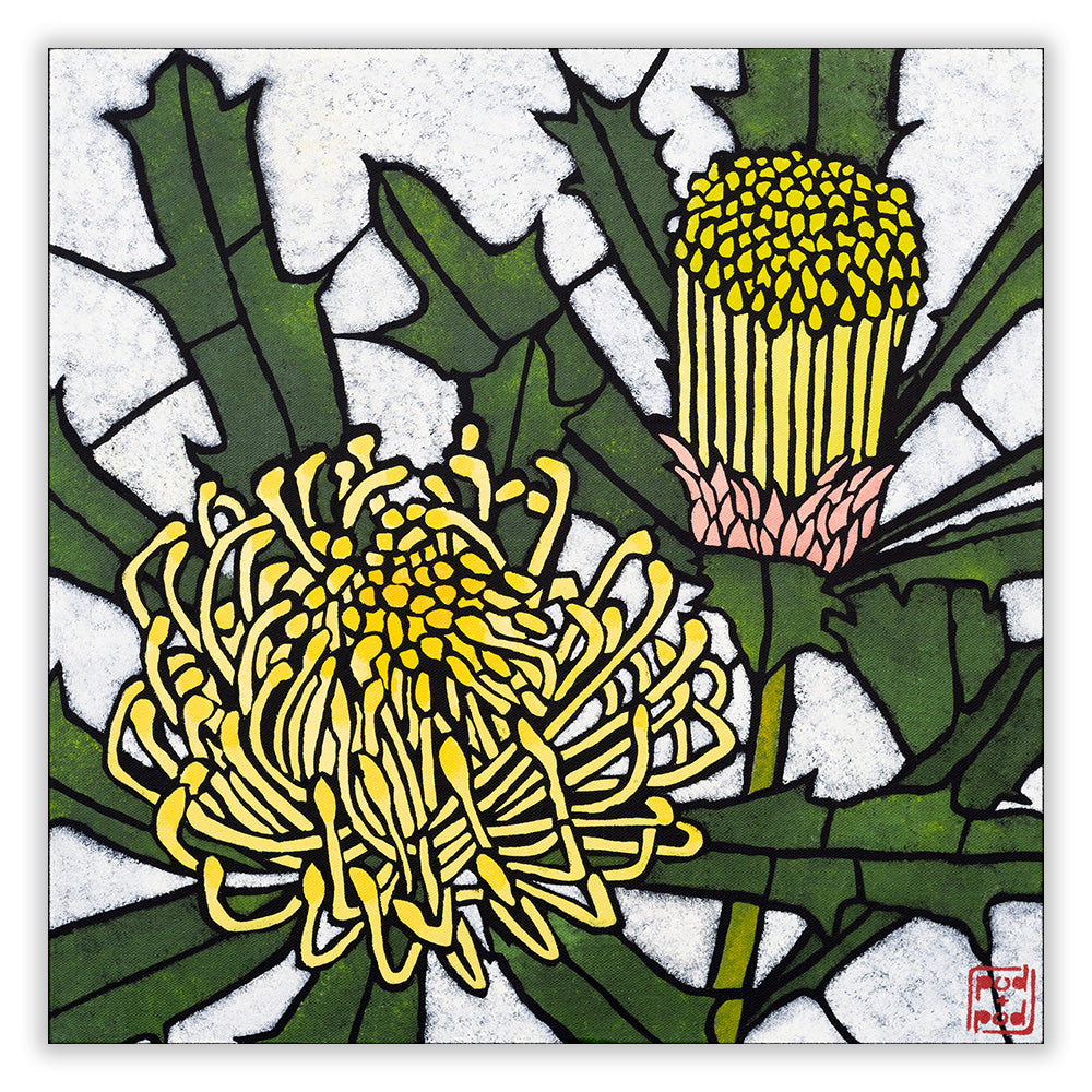 banksia sessilis archival print