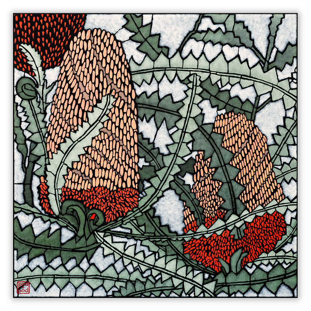banksia victoriae archival print