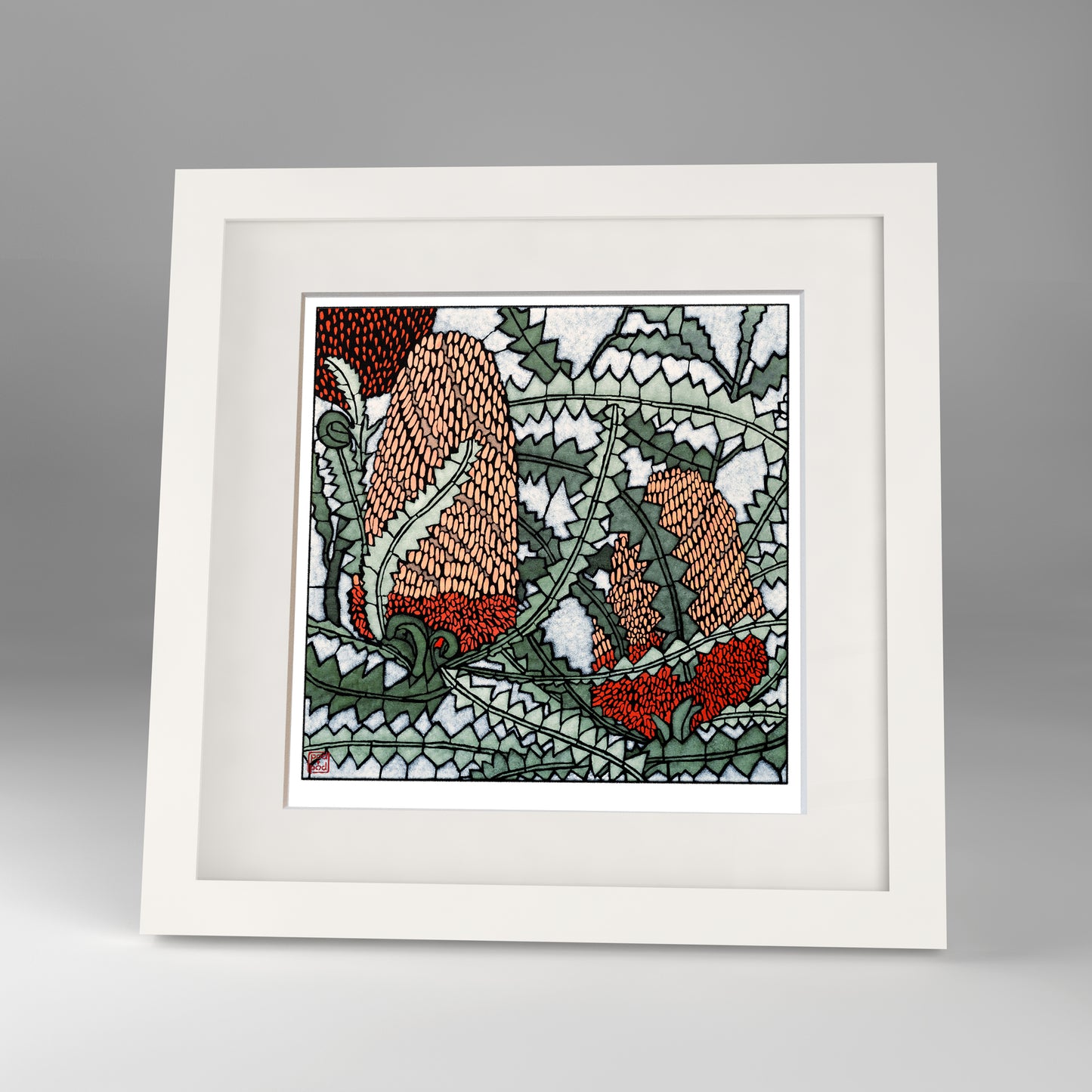 banksia victoriae framed print