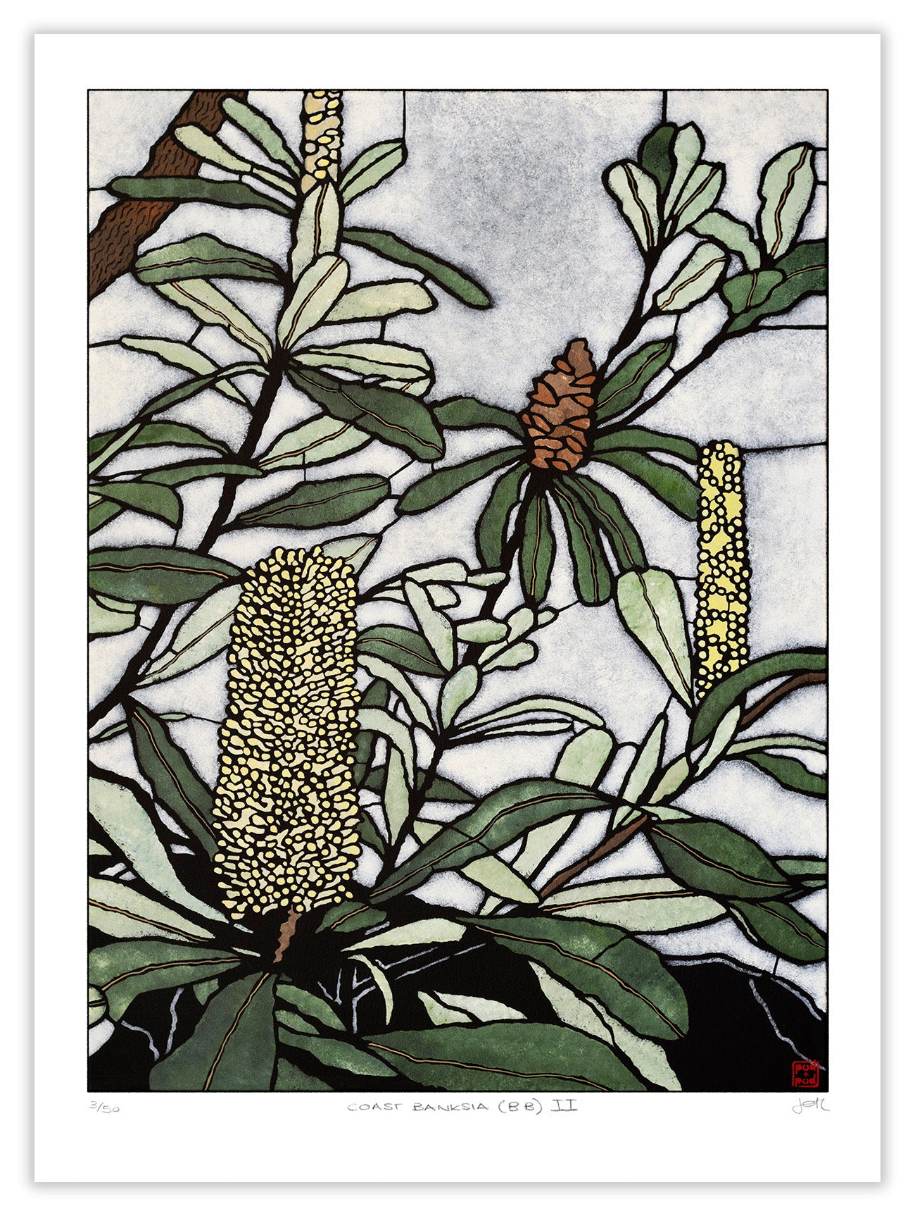 coast banksia BB II large archival print