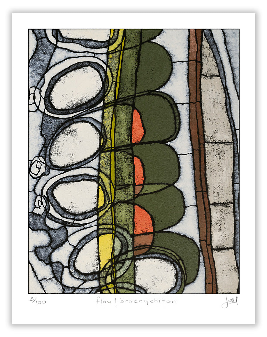 flow|brachychiton large archival print