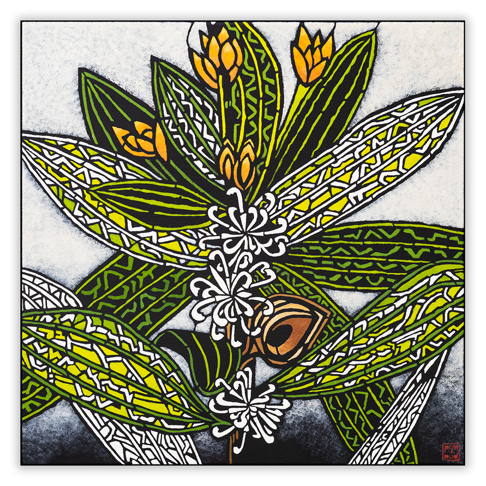 hakea archival print
