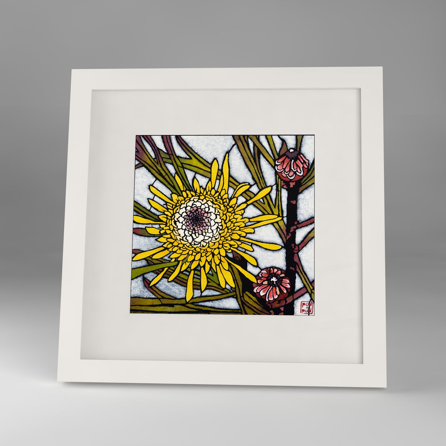 isopogon aenmonifolius framed print