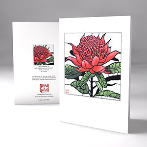 red waratah IV