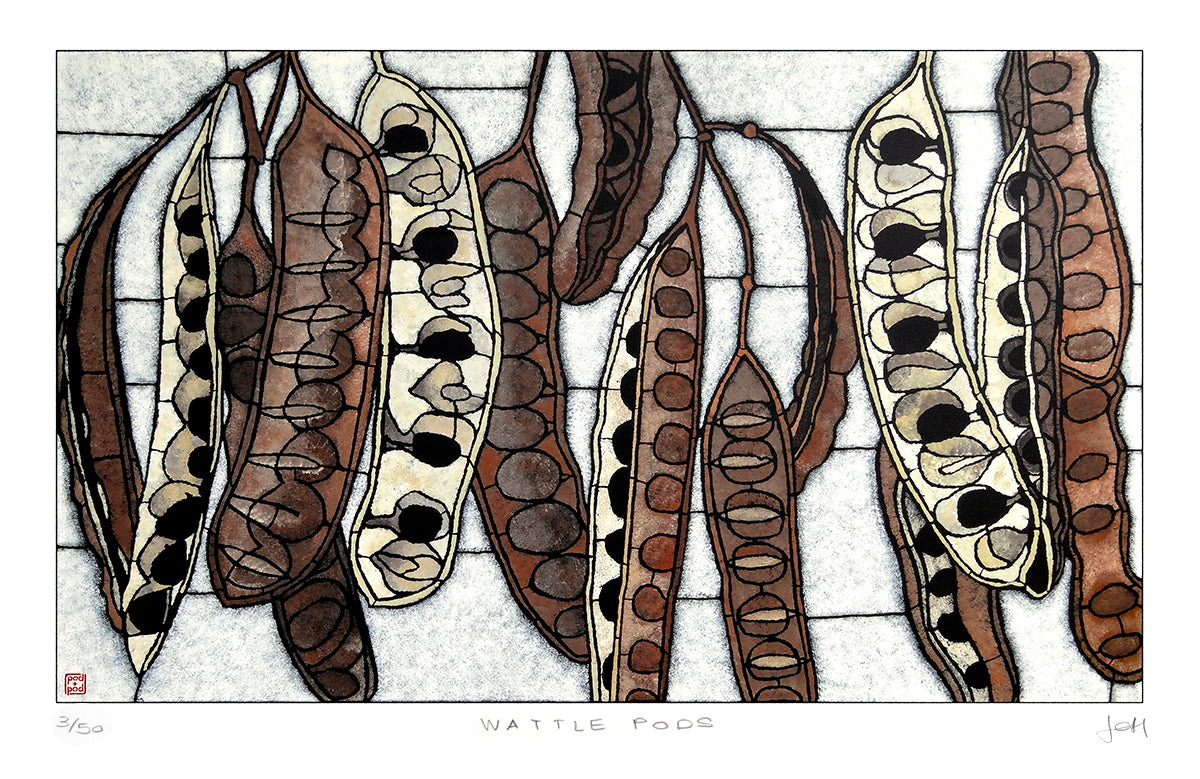 wattle pods large archival print
