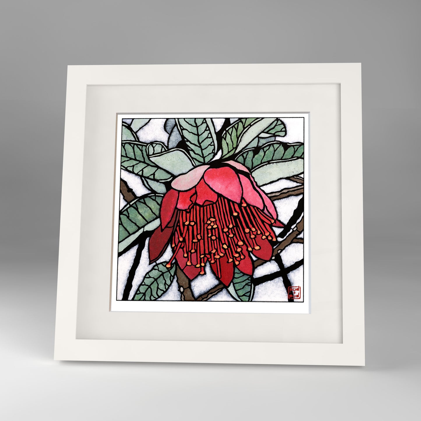 wild rose framed print