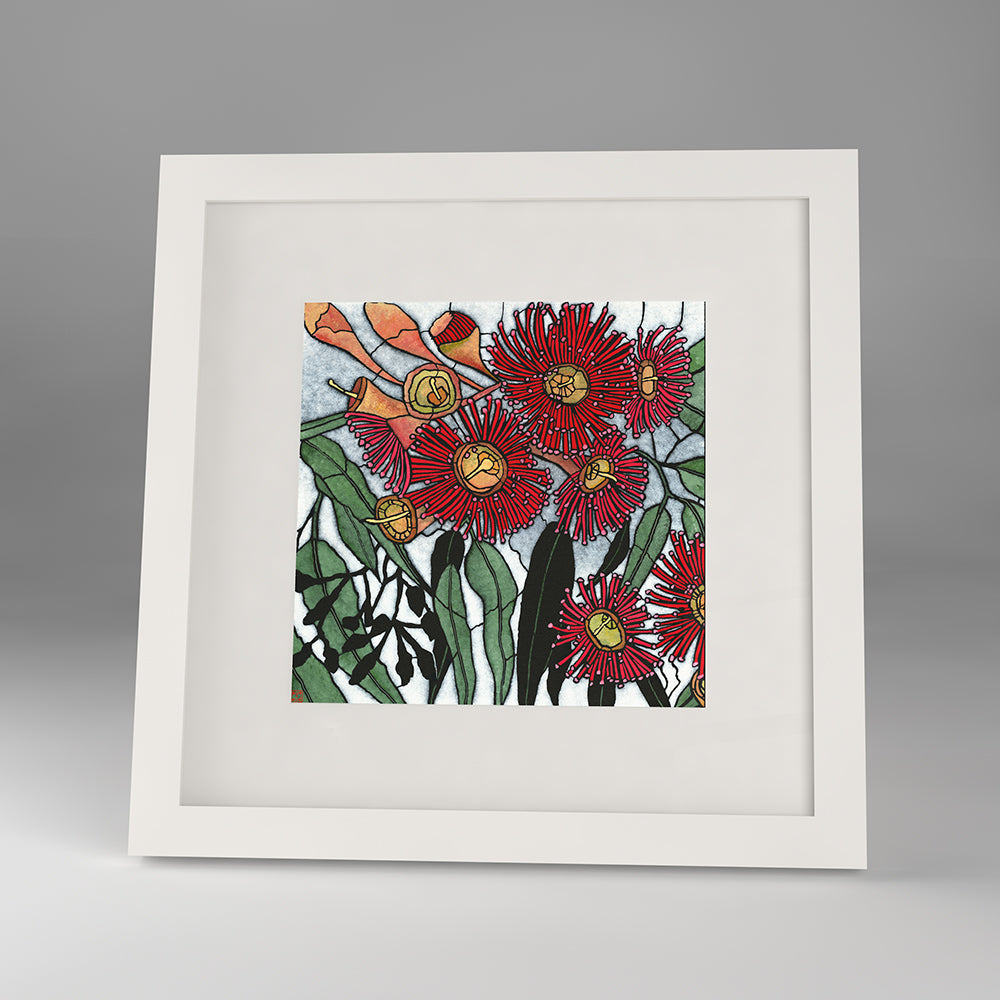 corymbia blossom framed print