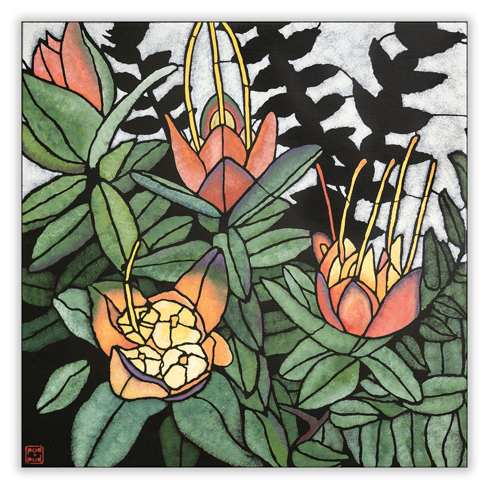 darwinia citriodora archival print