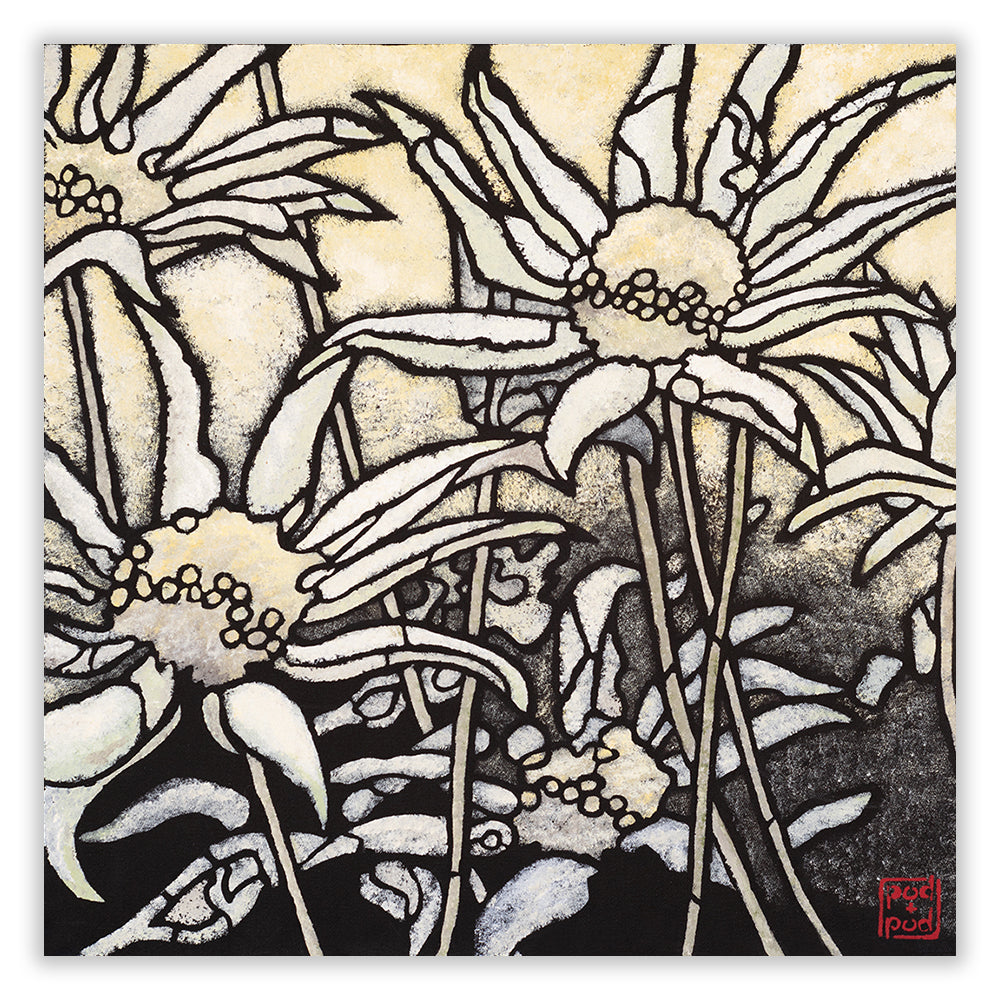 flannel flower II large archival print