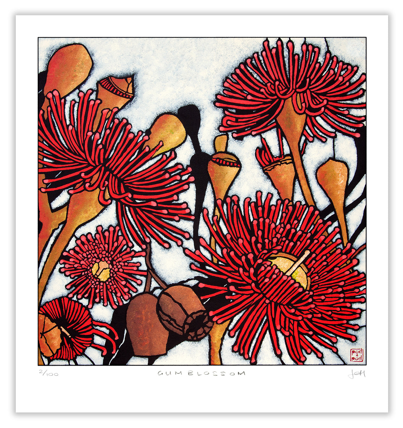 gum blossom large archival print
