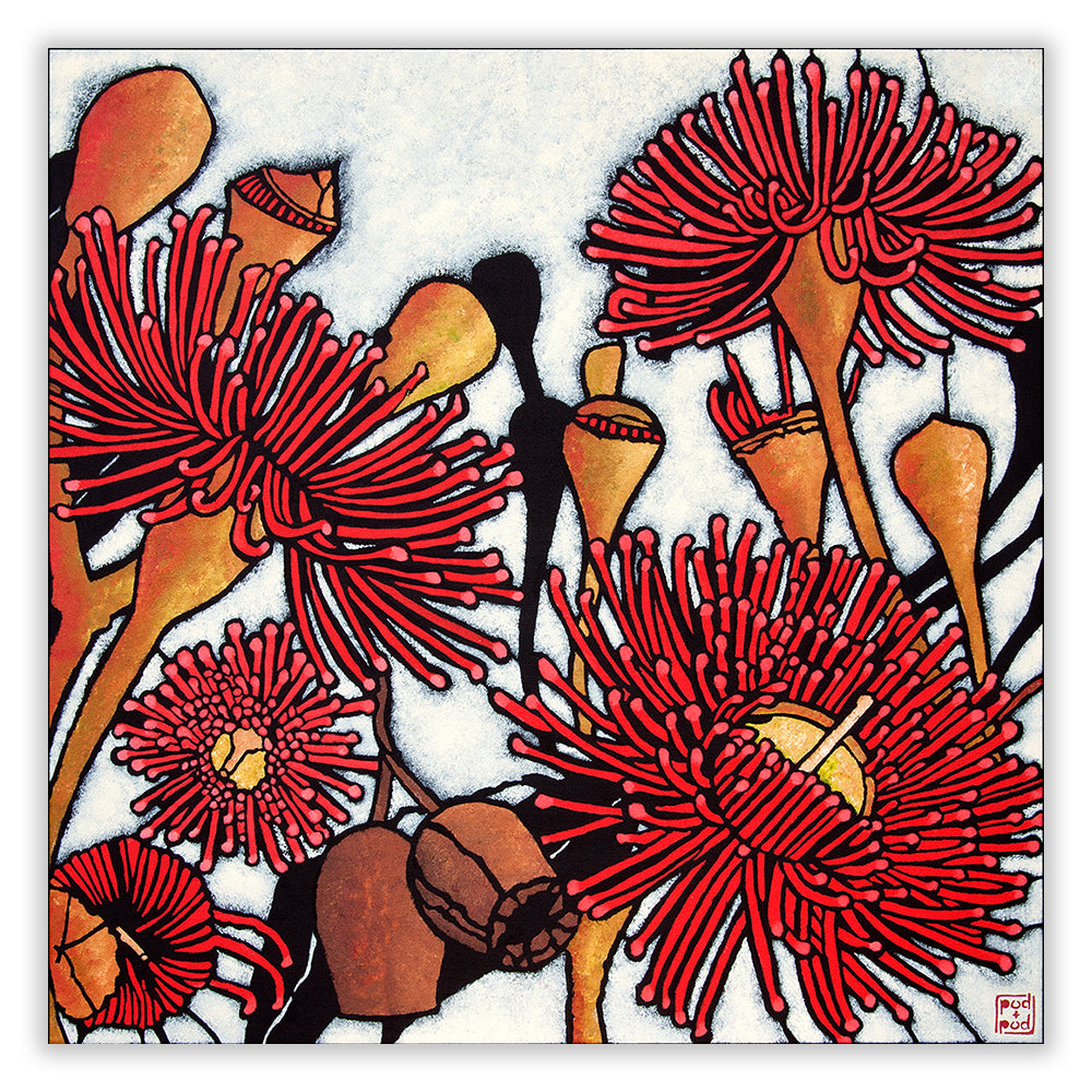 gum blossom large archival print