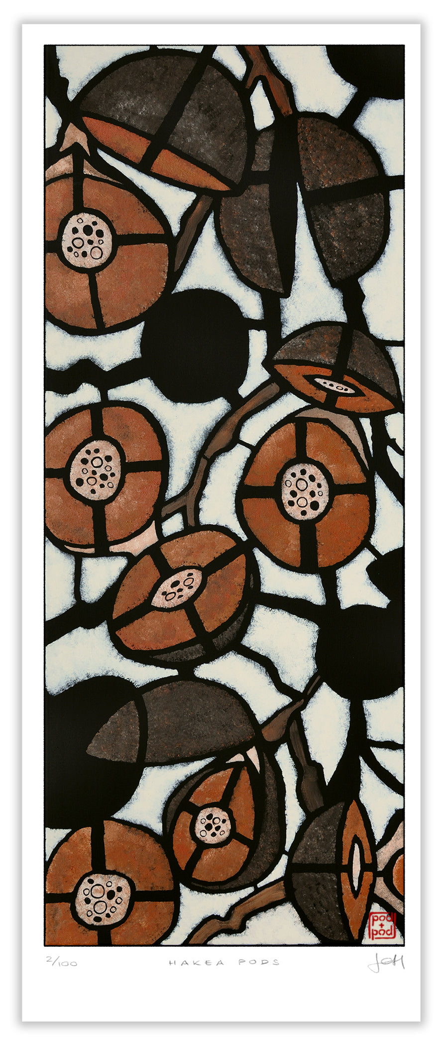 hakea pods large archival print