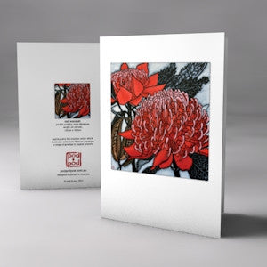 red waratah