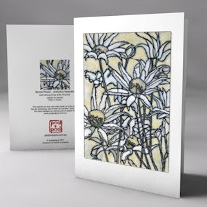 flannel flower
