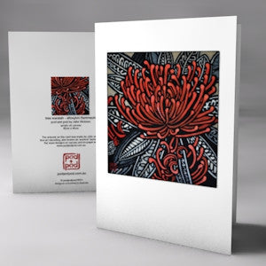 tree waratah