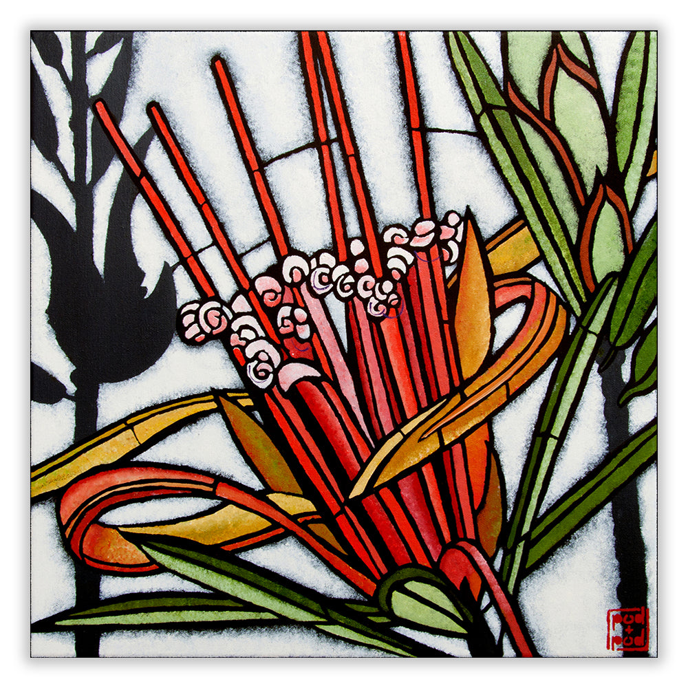 lambertia formosa archival print