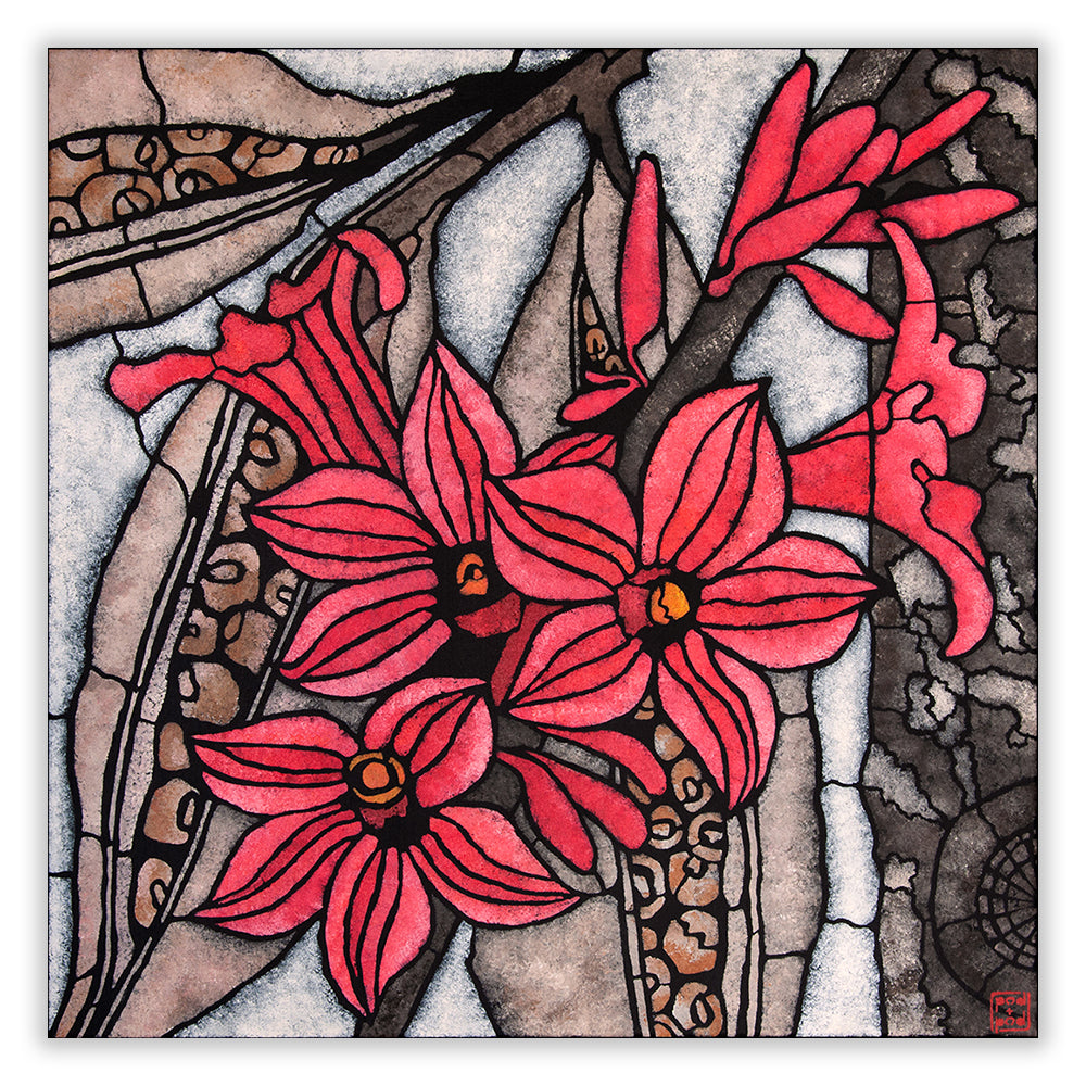 little kurrajong large archival print