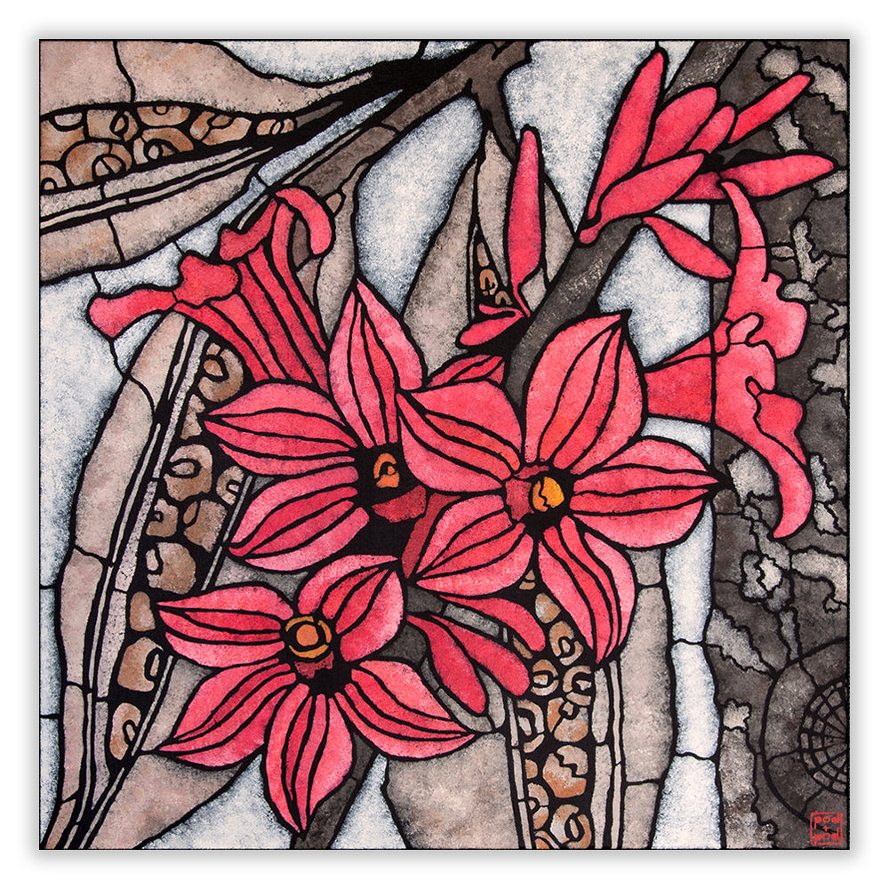 little kurrajong archival print