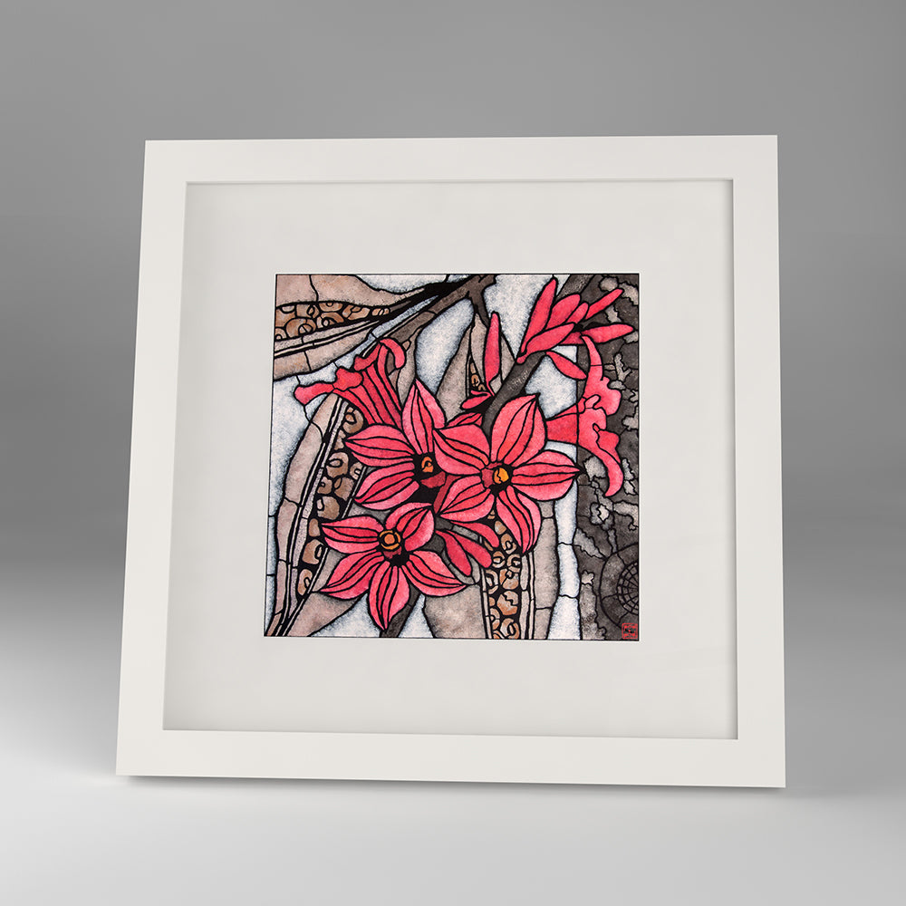 little kurrajong framed print