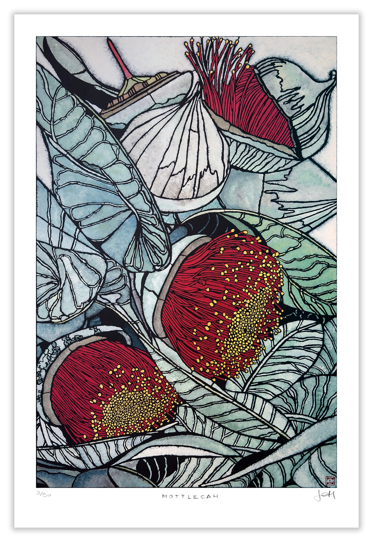 mottlecah large edition archival print (portrait)