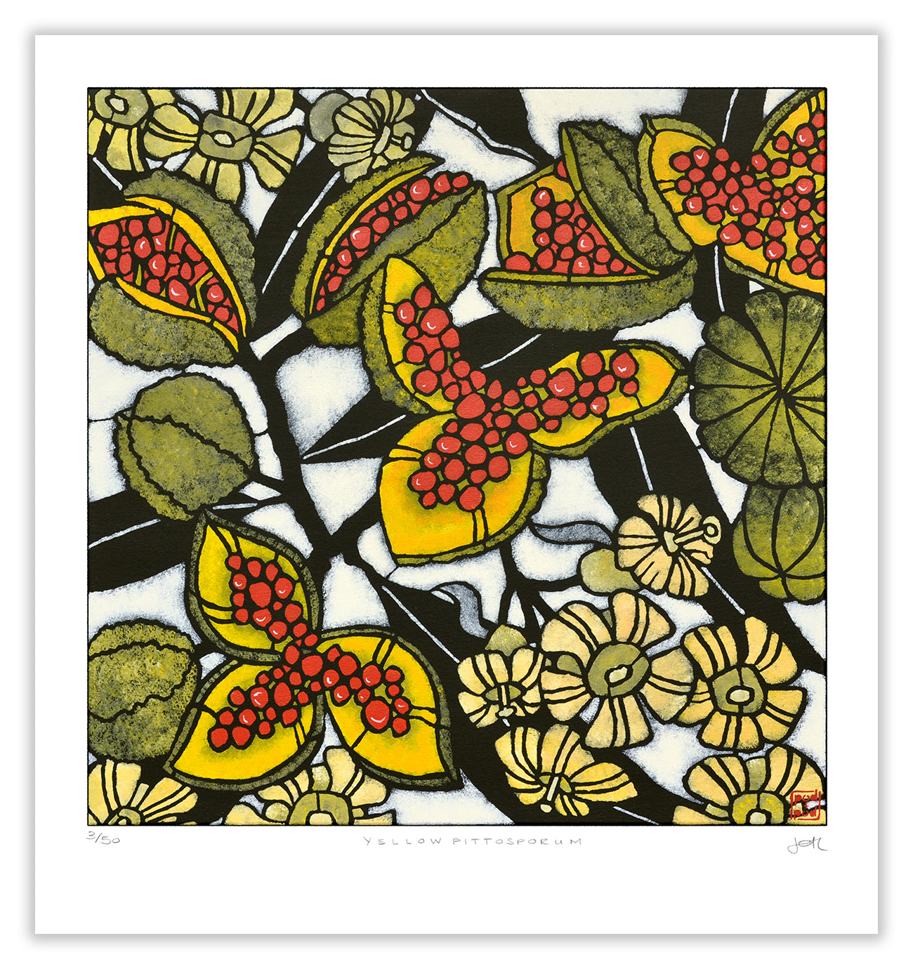 yellow pittosporum large archival print