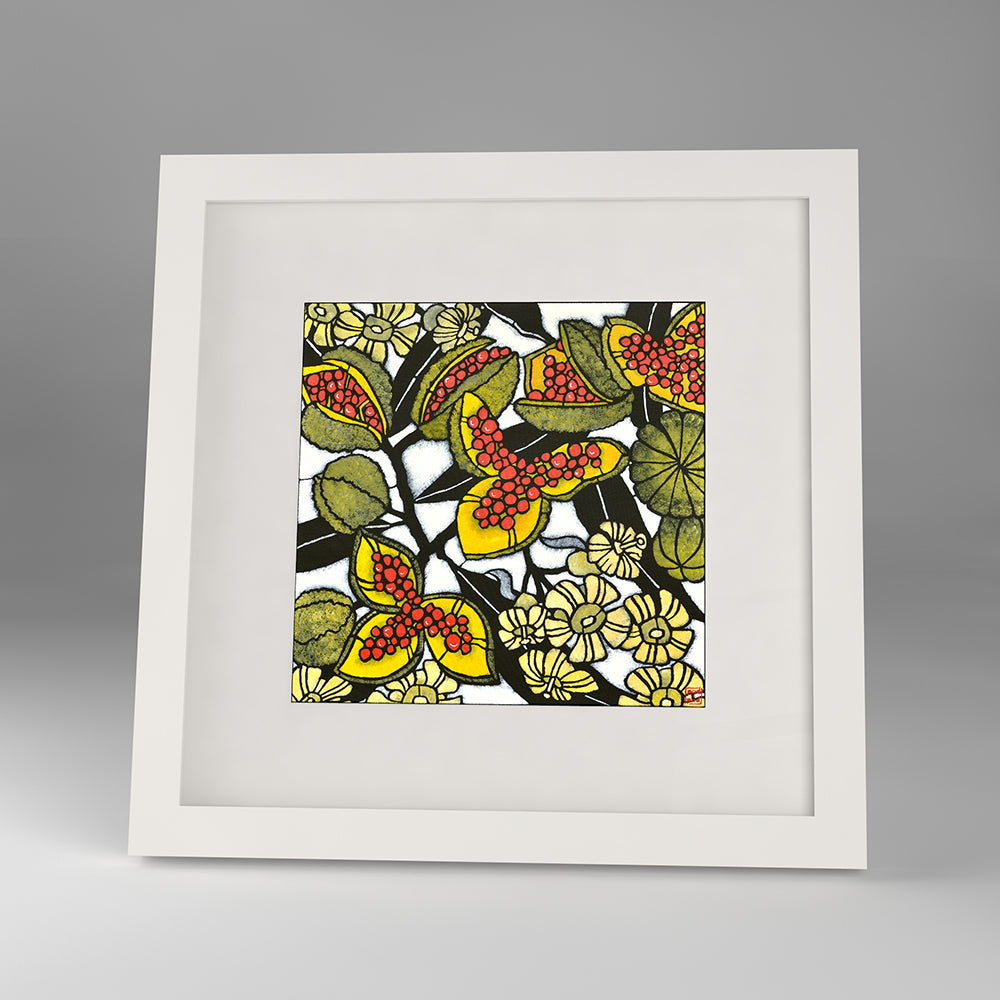 pittosporum framed print