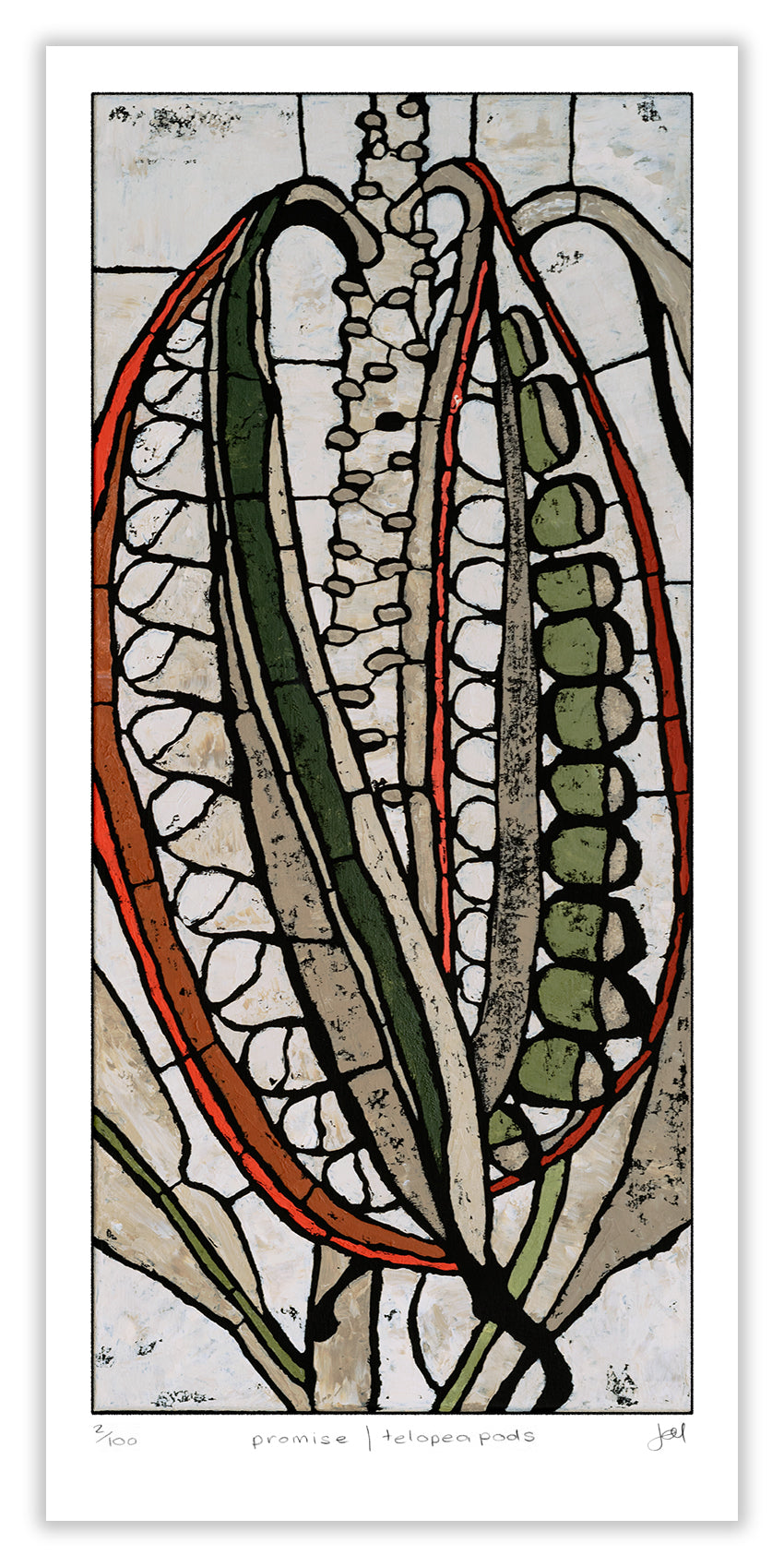 promise|telopea pods large archival print