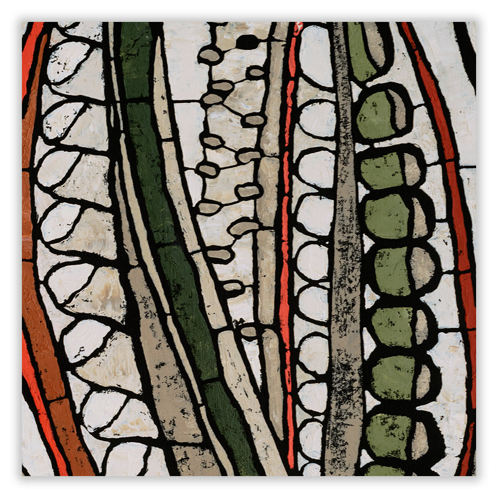 promise|telopea pods large archival print