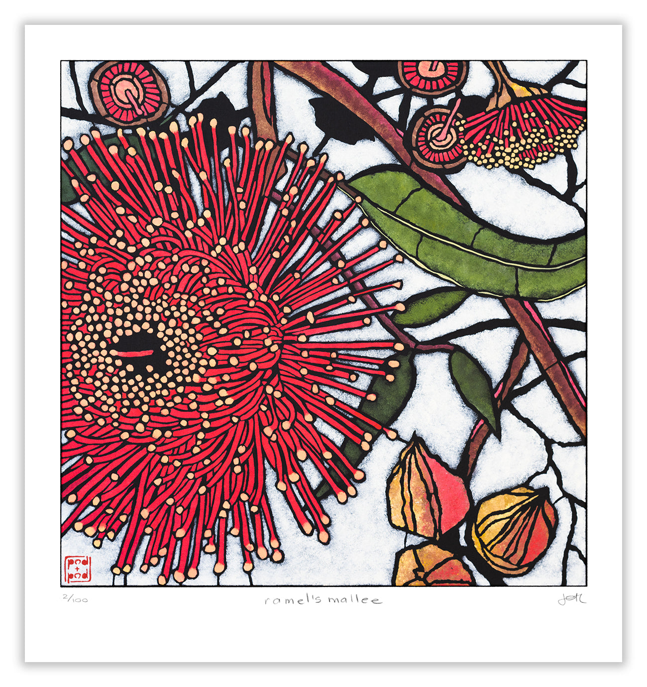 ramel's mallee large archival print
