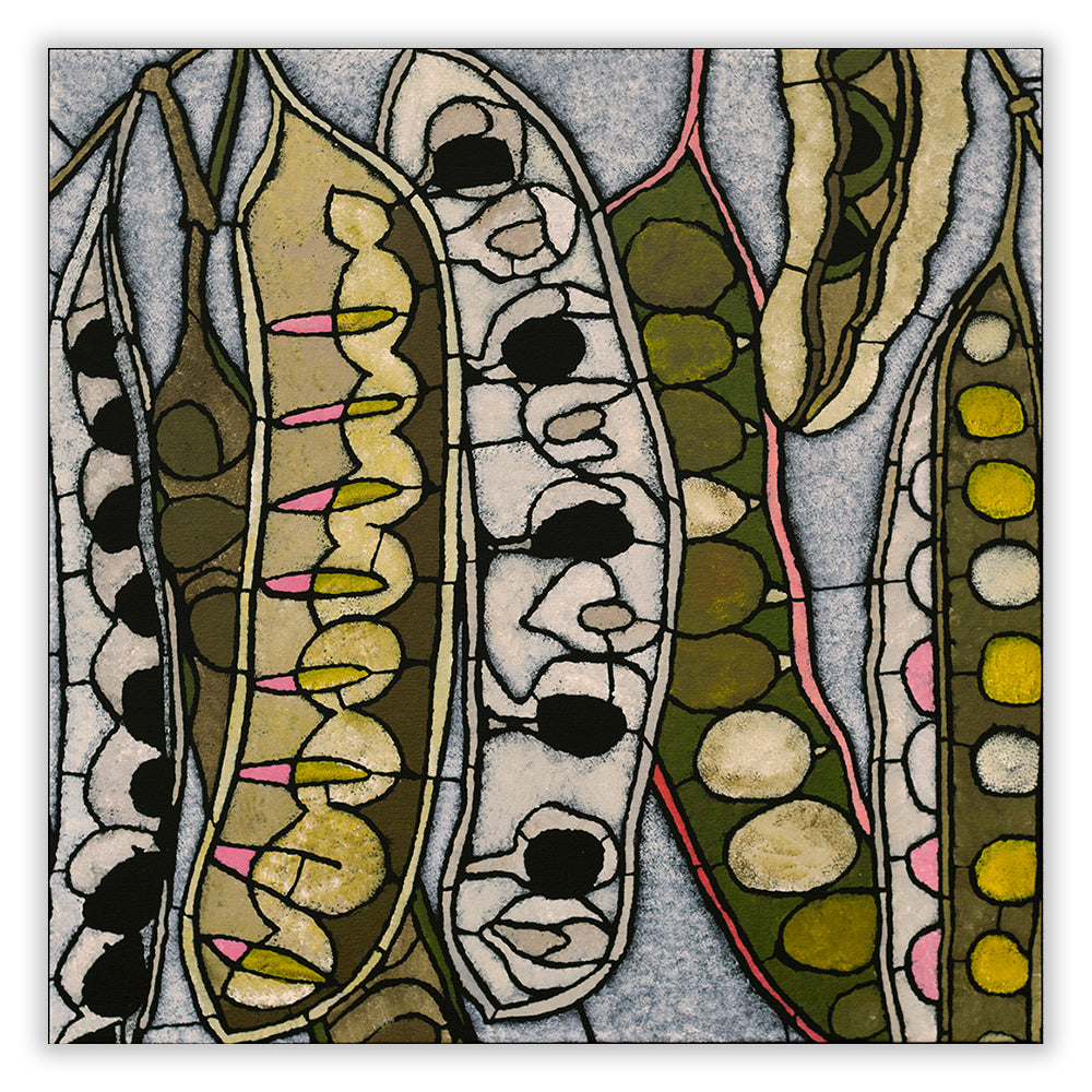 rapport|wattle pods large archival print