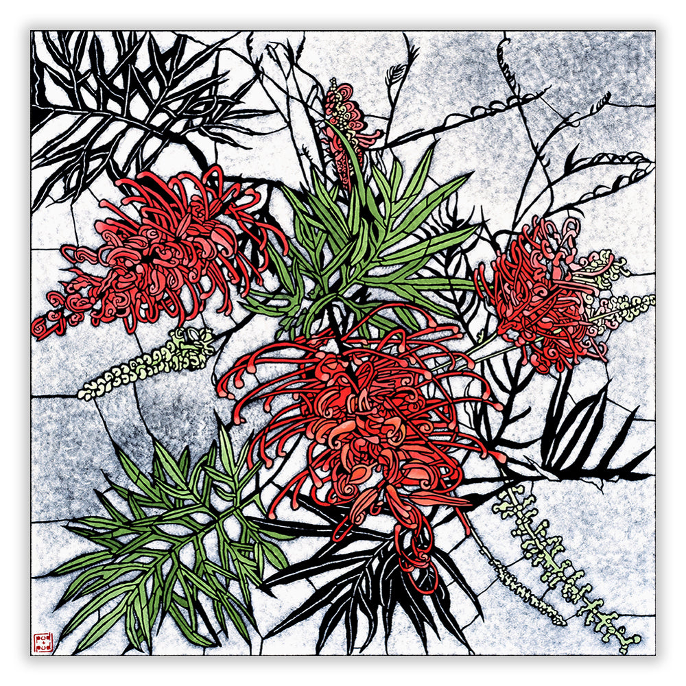 red grevillea archival print