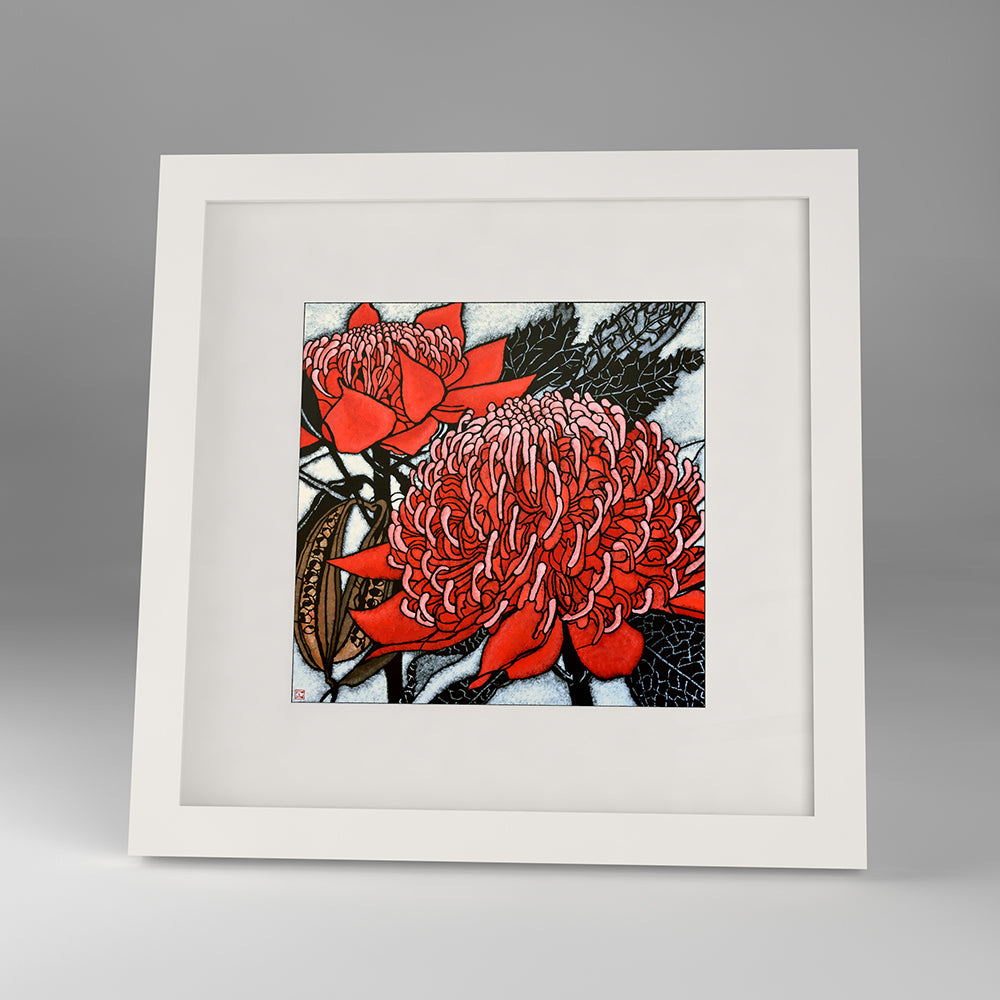 red waratah framed print