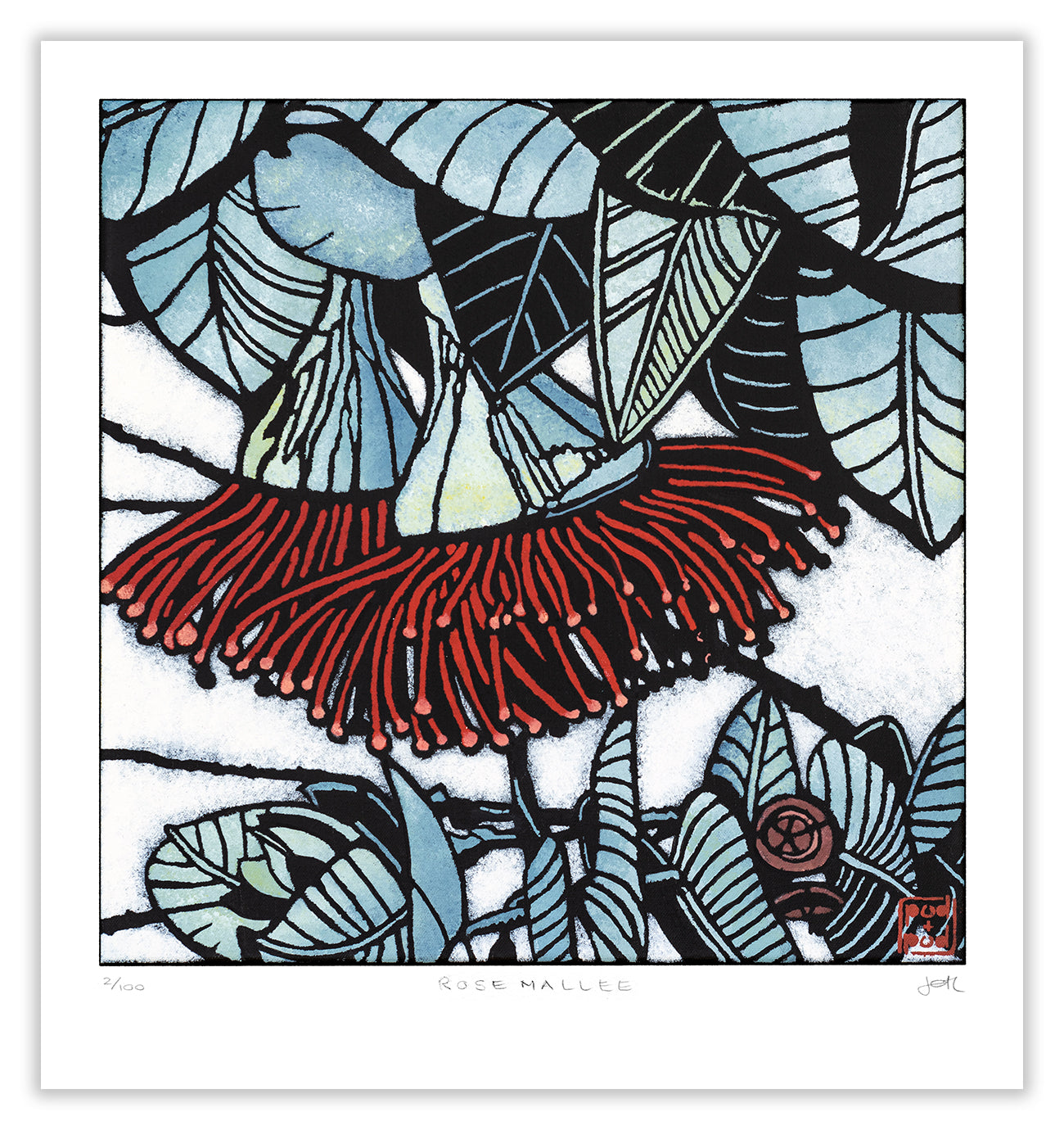 rose mallee large archival print