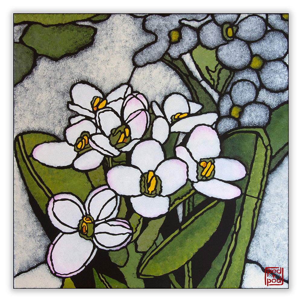 spiked rice flower archival print