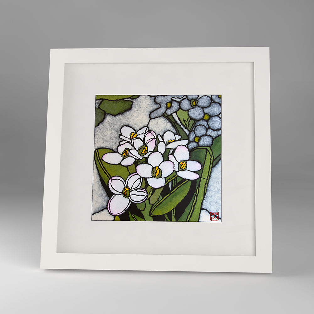 spiked rice flower framed print