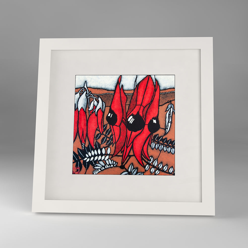 sturt's desert pea framed print