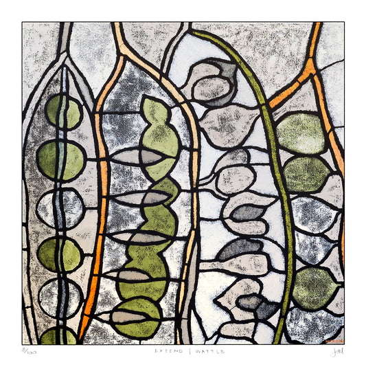 extend | wattle large archival print