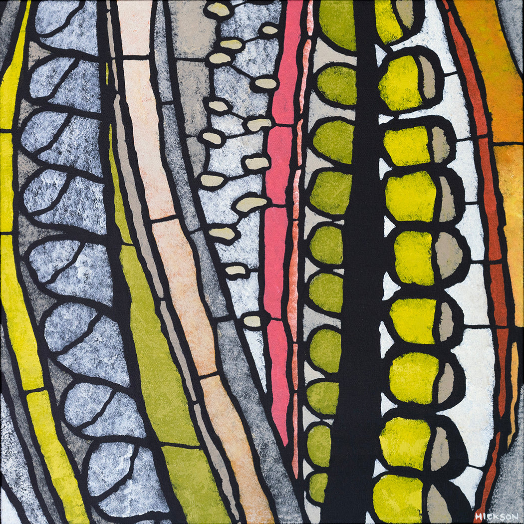 reveal | telopea large archival print