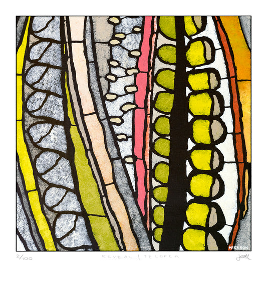 reveal | telopea large archival print