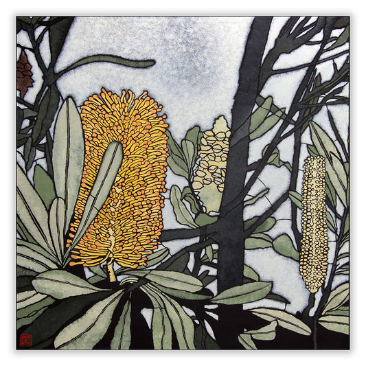 banksia integrifolia archival print
