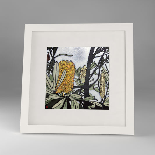 banksia integrifolia  framed print