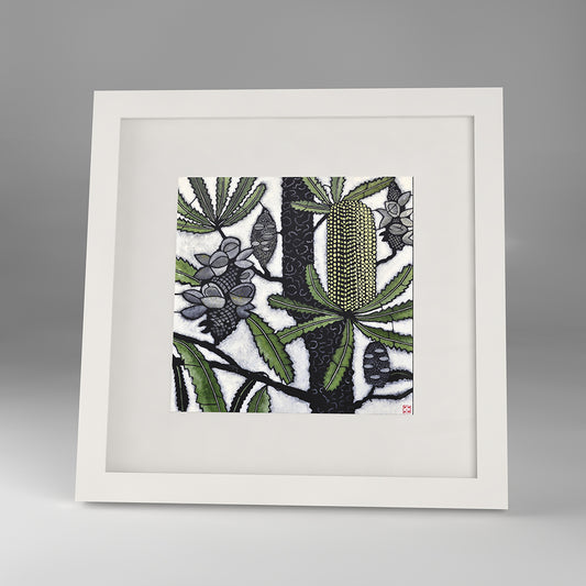 banksia serrata framed print