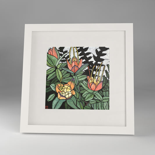 darwinia citriodora framed print