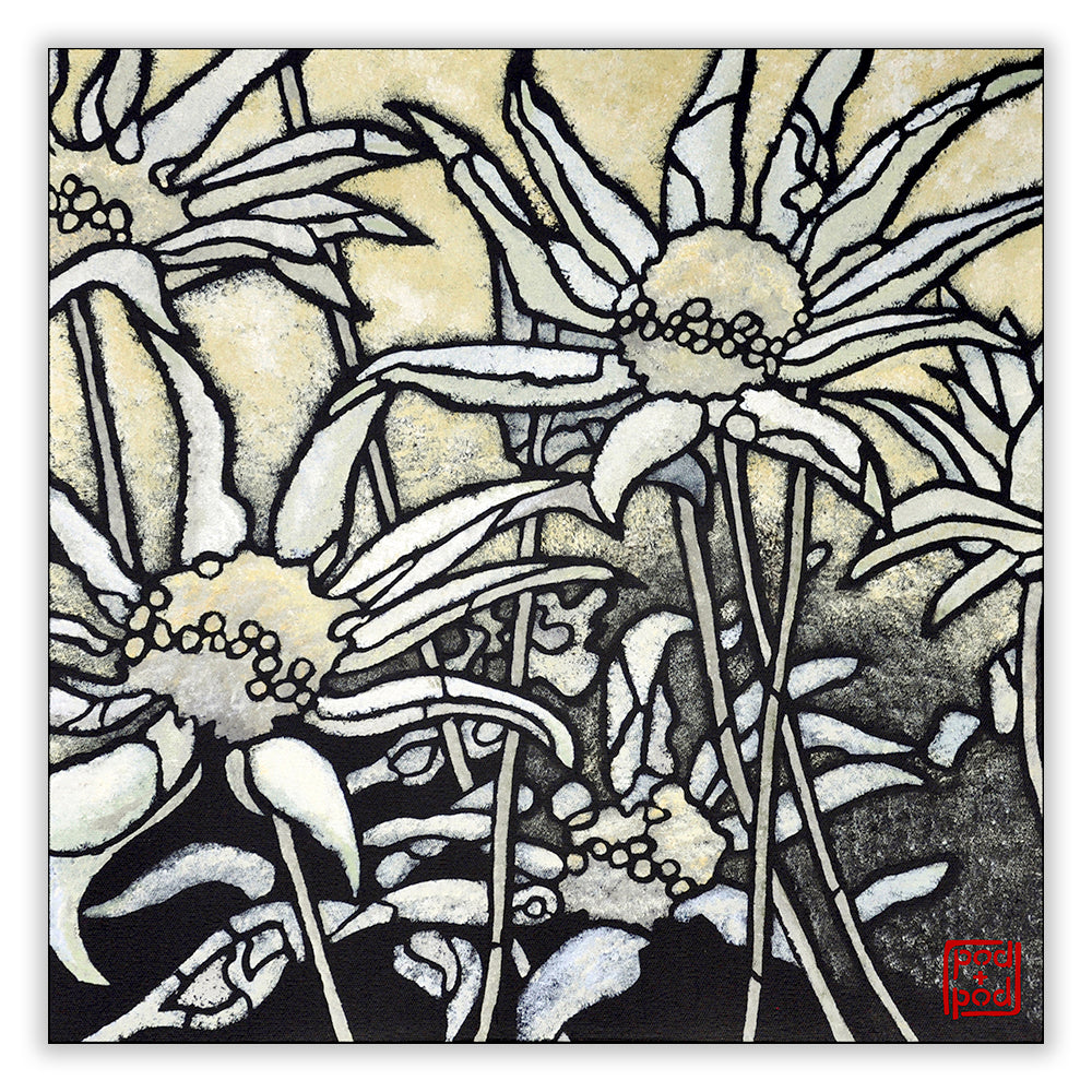 flannel flower archival print