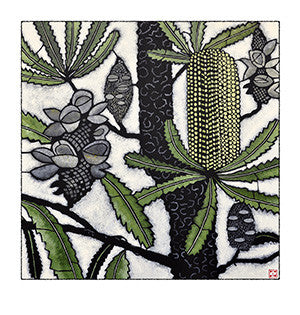 banksia serrata archival print