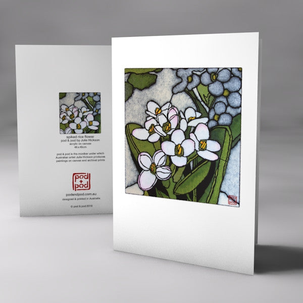 spiked rice flower – pod & pod