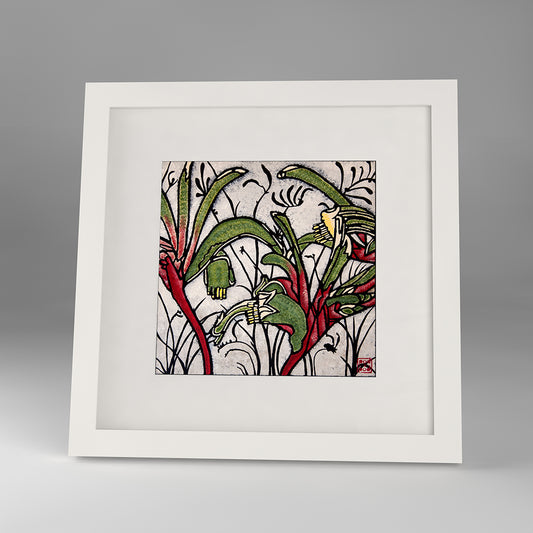 kangaroo paw framed print