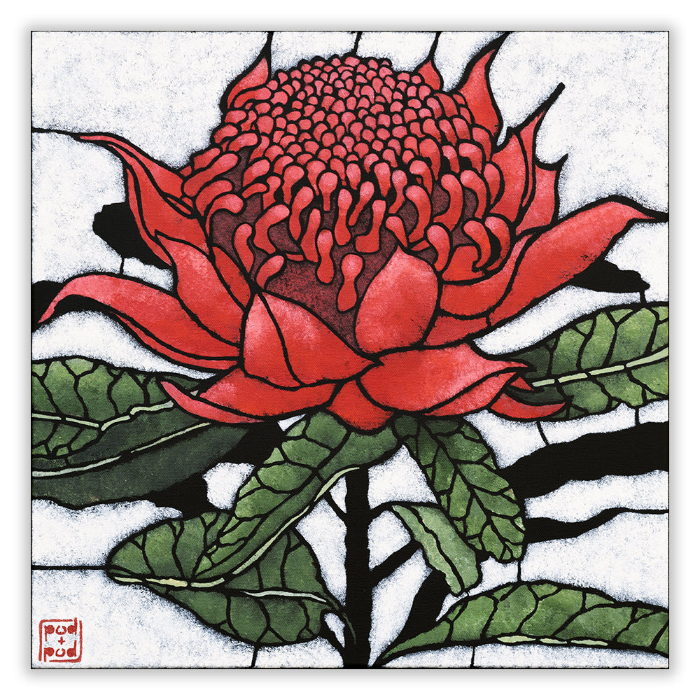 red waratah IV archival print